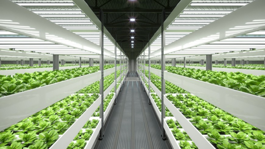 智能化植物工厂